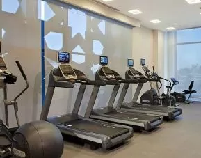 well equipped fitness center with treadmills, step machines, and weights at Hilton Garden Inn Konya, Turkey.