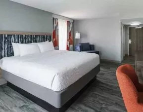bright-lit king-sized bed in a spacious room with work desk at Hampton Inn & Suites Tampa-Ybor City/Downtown.