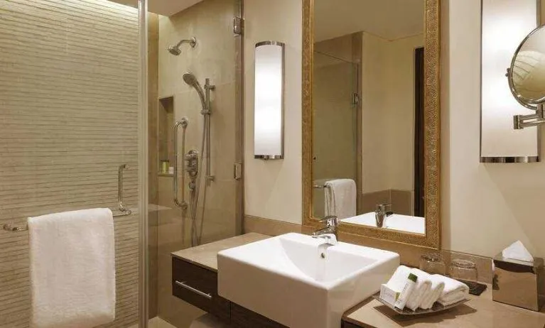 Guest bathroom at the DoubleTree by Hilton Agra.