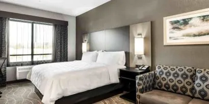 Day use room with sofa at Holiday Inn & Suites Silicon Valley - Milpitas.