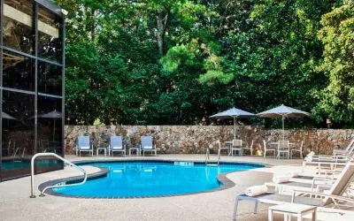The hotel’s outdoor swimming pool has surrounding loungers and nearby trees.