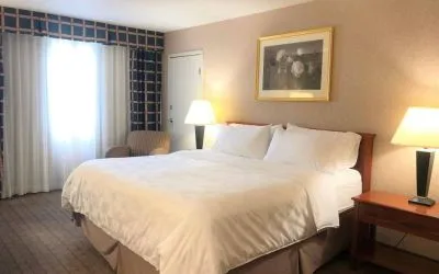 Double bed guest room in Holiday Inn Laval Montreal, with nearby chair and window.