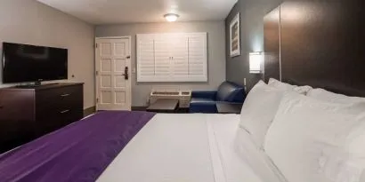 Best Western Desert Villa Inn