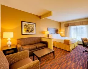 Day use room with sofa at Holiday Inn Express Granbury.