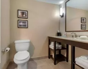 Private guest bathroom with shower at Comfort Inn & Suites Napanee.