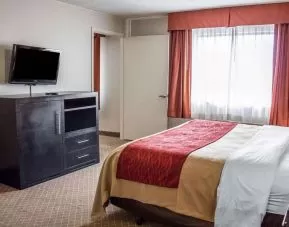 Day use room with natural light at Norwood Inn Statefare Grounds.