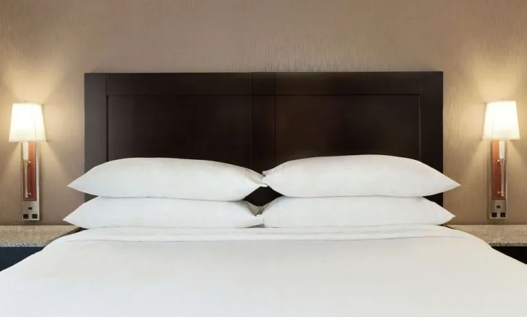 Delux king room with natural light and plush bedding at Embassy Suites By Hilton Arcadia Pasadena Area.