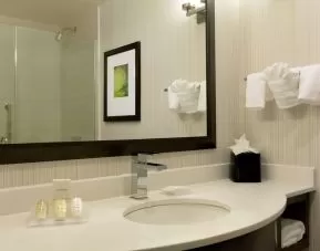 Guest bathroom with shower at Hilton Garden Inn New York/Manhattan-Midtown East.