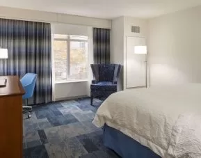 King bed with natural light at Hampton Inn & Suites Rosemont Chicago O'Hare.