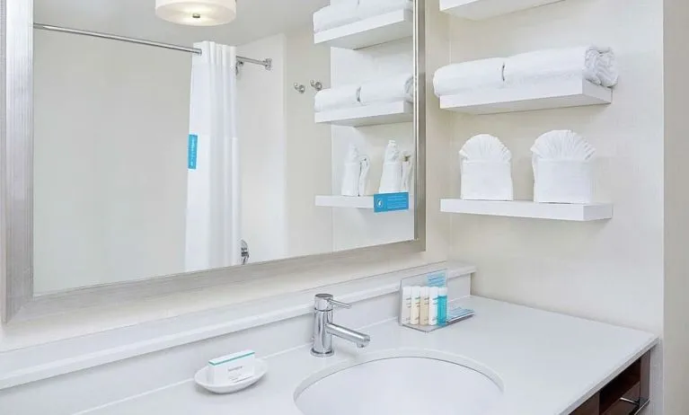 Guest bathroom with shower at Hampton Inn Dallas-Irving-Las Colinas.