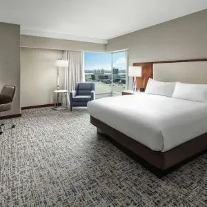Delux king room with natural light at Hilton Boston Logan Airport.