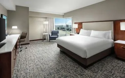 Delux king room with natural light at Hilton Boston Logan Airport.