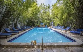 Reelaxing outdoor pool with sun loungers at Catalina Hotel & Beach Club.
