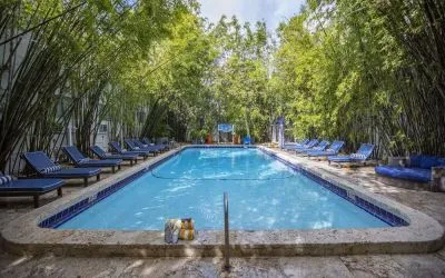 Reelaxing outdoor pool with sun loungers at Catalina Hotel & Beach Club.