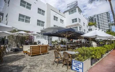 Comfortable outdoor tables and chairs with umbrellas ideal for coworking at Catalina Hotel & Beach Club.