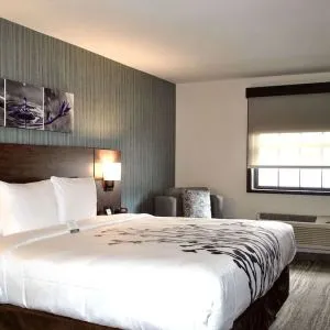 King bed with work space at Sleep Inn Oakbrook Terrace.