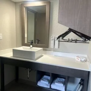 Private guest bathroom at Red Roof Plus Bourbonnais.