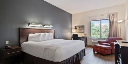 Delux king room with natural light at OYO Townhouse Orlando West.