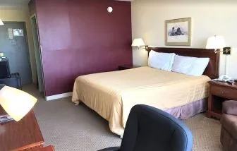 King bed at Norwood Inn & Suites La Crosse.