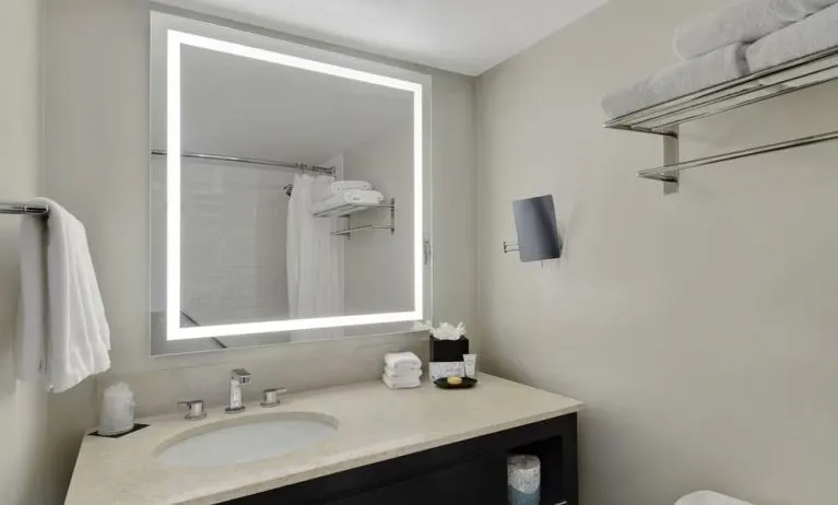 Private guest bathroom with shower and free toiletries at Hotel Tampa Riverwalk