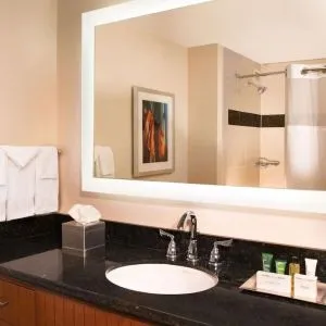 Private guest bathroom with free toiletries at Hilton Minneapolis.