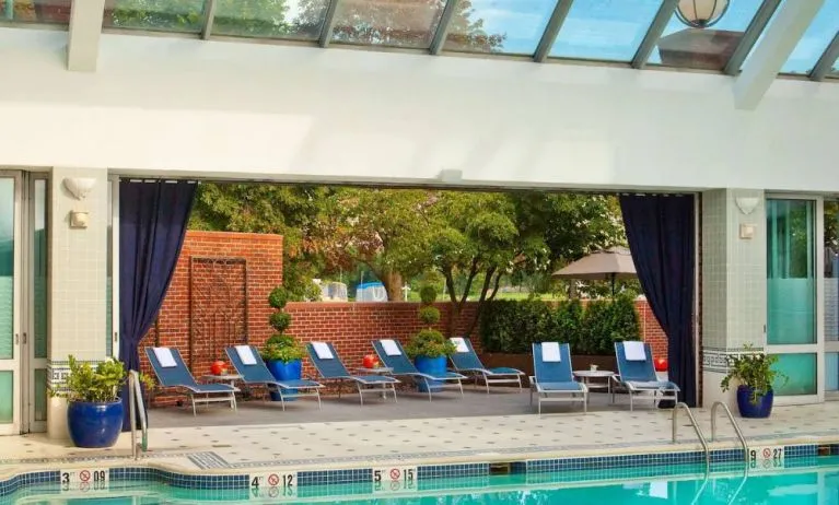 The indoor pool at Royal Sonesta Boston has plenty of natural light, with sun loungers and potted plants by the side.