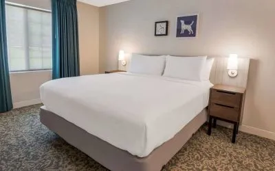Double bed guest room in Sonesta ES Suites Andover Boston, with art on the wall, bedside lamps, and a window.