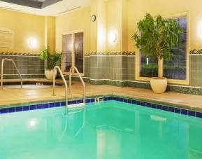 Sonesta Atlanta Airport South’s indoor pool has a hot tub nearby, potted plants by the side, and large windows.