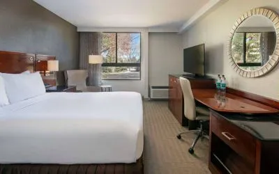 Sonesta Charlotte Executive Park double bed guest room, featuring window, armchair, workspace desk and chair, and TV.