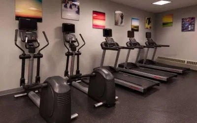 Sonesta Chicago O'Hare Airport Rosemont’s fitness center has artwork on the walls and machines such as treadmills and ellipticals.