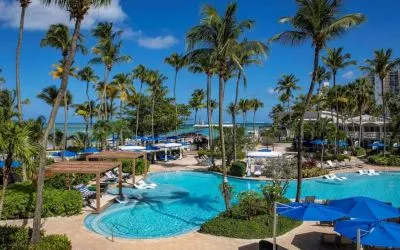 Royal Sonesta San Juan’s outdoor pool features sun loungers by the side and in shallow water, with towering palm trees all around.