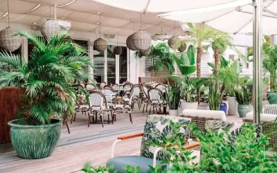The hotel offers outdoor dining, with an abundance of plant life around the tables for four.