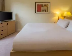 Romantic king room with TV at Hilton Leicester.