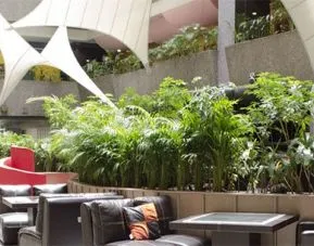 Hotel Real del Sur, Mexico City