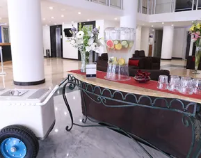 Hotel Misión Monterrey Centro Histórico, Monterrey