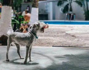 Hacienda Paradise Boutique Hotel By Xperience Hotels, Playa del Carmen