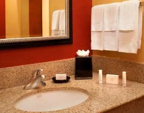Guest bathroom at Sonesta Select Detroit Auburn Hills.