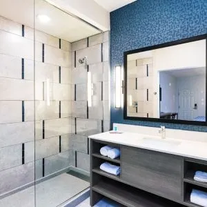 Private bathroom at Palace Inn Blue Laura Koppe Rd.