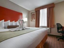 Hotel Best Western JFK Airport Hotel image