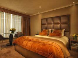 Hotel Radisson Blu Edwardian Heathrow image