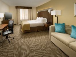 Hotel Holiday Inn El Paso Airport image