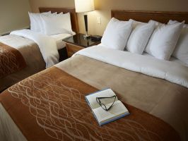 Hotel Comfort Inn Edmonton West image