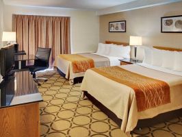 Hotel Comfort Inn Moncton Magnetic Hill image