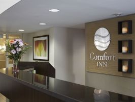 Hotel Comfort Inn Sydney image