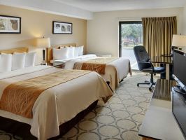 Hotel Comfort Inn Brandon image