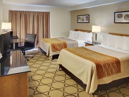 Hotel Comfort Inn Saskatoon image