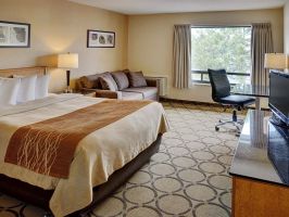 Hotel Comfort Inn Pembroke image