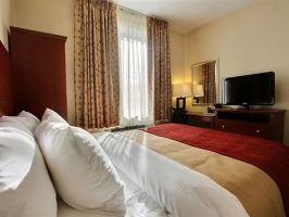 Hotel Comfort Inn Staten Island image
