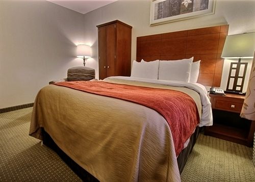 Comfort Inn Staten Island Day Use Rooms Hotelsbyday