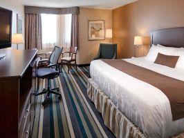 Hotel Best Western Plus Winnipeg Airport image